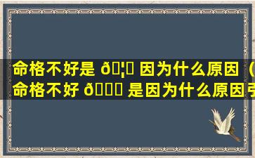 命格不好是 🦈 因为什么原因（命格不好 🍁 是因为什么原因引起的）